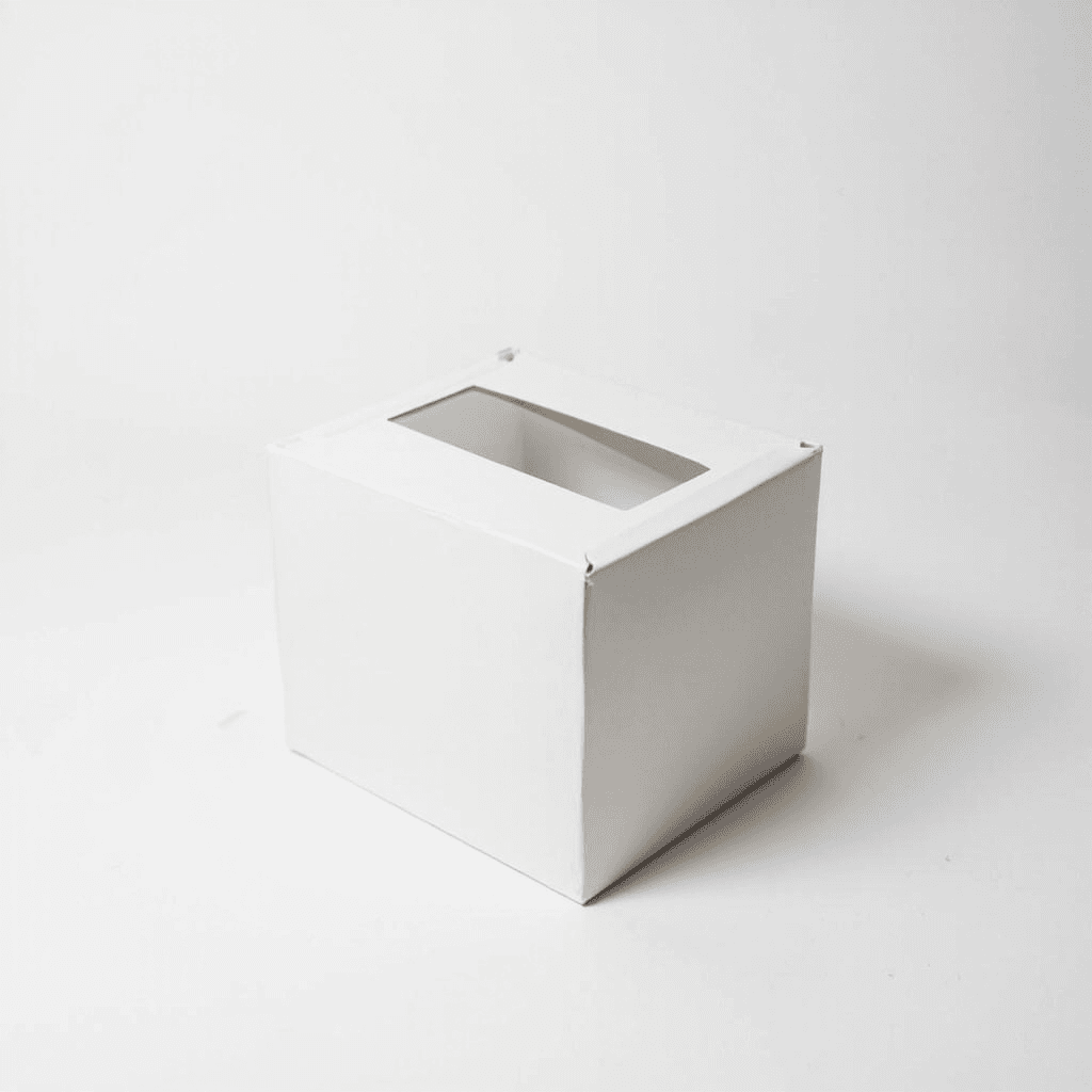 Cake Boxes